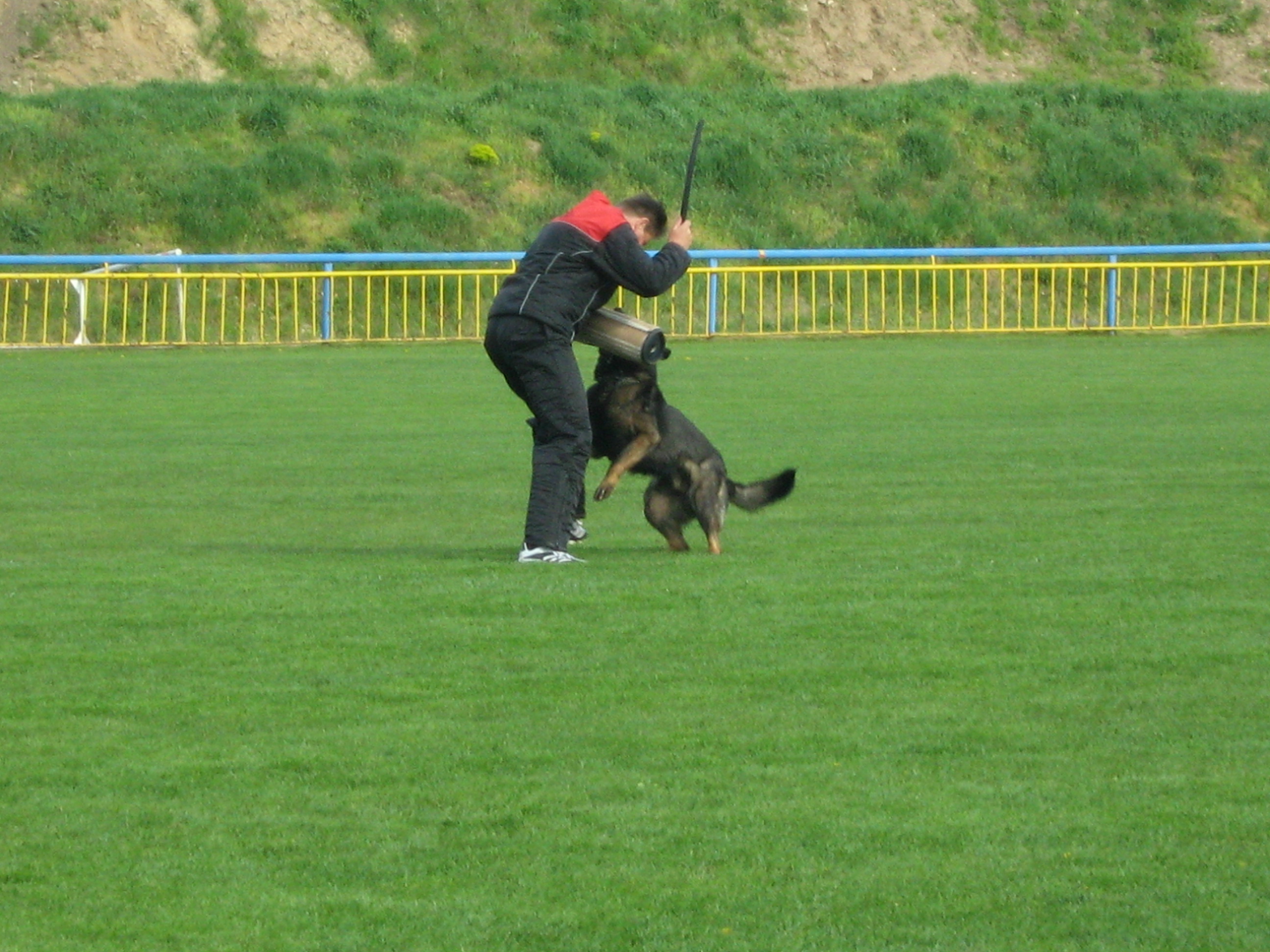 Břeclav 18042009 034.jpg