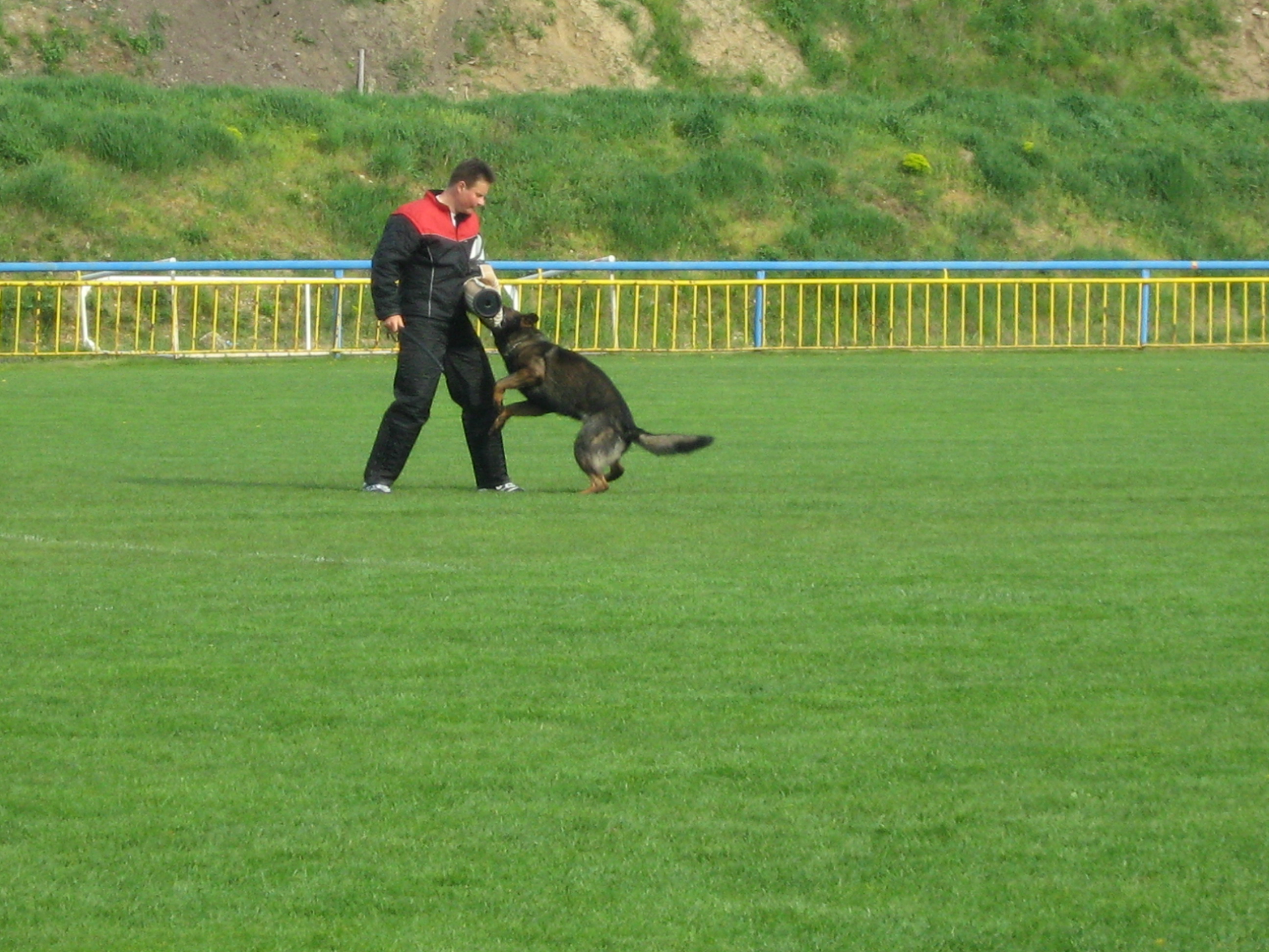 Břeclav 18042009 036.jpg